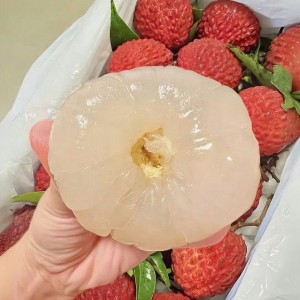 Lương cao cô nào làm được alo e nha