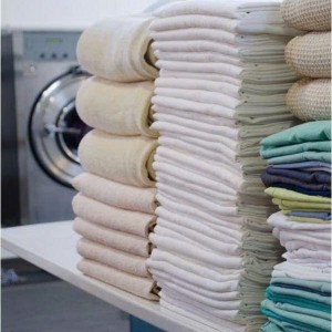 Em Cần Gấp Một Cô Siêng Năng Về Giúp Việc Nhà Cho Gia Đình Em