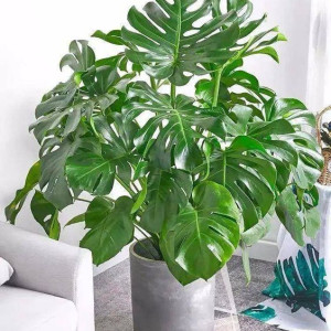 Em đang cần rất là gấp 1 cô về dọn dẹp nhà cửa người miền nào cũng được miễn làm việc nhà tốt. Ko yêu cầu kinh nghiệm ạ