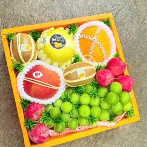 Tuyển gấp cô chăm bé sơ sinh tại Q2 – Lương 13 triệu, không làm việc nhà