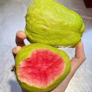 Tuyển Gấp 1 Cô Chăm Bé Giỏi Làm Bao Ăn Ở Lại Ạ