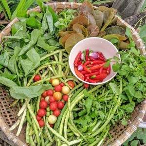 Trên đường Bùi  Minh Trực Quận 8, em cần 1 chị đến phụ giúp lau dọn nhà cửa giúp em 1 tay nha.