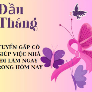 Nay đầu tháng em Ngọc đang có nhiều việc cần gấp chị giúp việc đi làm ngay trong hôm nay với mức lương khởi điểm từ 11 triệu