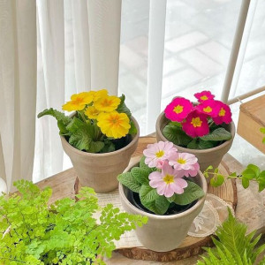 Tuyển Ngay 1 Cô Giúp Việc Nhà Với Mức Lương 10 Triêu Tại Sài Gòn !!