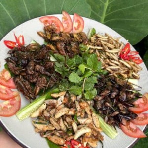 Tuyển gấp 1 cô chuyên chăm bé bao ăn ở lại ạ