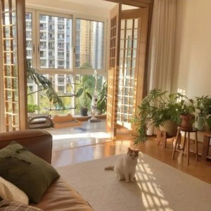 EM ĐANG CẦN TÌM GẤP 1 CÔ LÀM VIỆC NHÀ. LƯƠNG 11TRIỆU TRÊN ĐƯỜNG CHỢ LỚN QUẬN 6