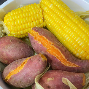 EM CẦN 1 CHỊ HIỀN LÀNH VỀ LÀM VIỆC NHÀ VỚI MỨC LƯƠNG CỰC CAO