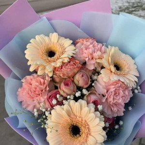 Gia Đình Cần Tìm Một Cô Giúp Việc Nhà Làm Ăn Ở Lại Luôn.