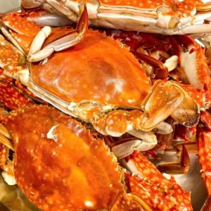 Tuyển Gấp Cô Chăm Bé Giỏi Ở Lại Tại Quận 3 – Lương Cao