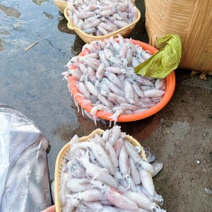 Trên Đường Nguyễn Trãi Quận 5, Nhà Em Tuyển Gấp Chị Giúp Việc Nhà Đi Làm Ngay Luôn