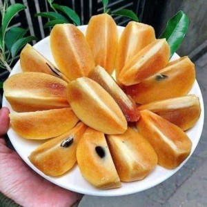 Chính chủ cần gấp 1 cô nấu ăn ngon bao ăn ở lại ạ