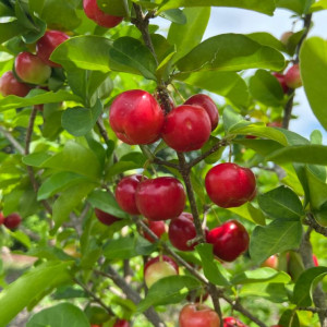 𝑻𝒊̀𝒎 𝑪𝒉𝒊̣ 𝑮𝒊𝒖́𝒑 𝑽𝒊𝒆̣̂𝒄 𝑵𝒉𝒂̣̂𝒏 𝑳𝒂̀𝒎 𝑶̛̉ 𝑳𝒂̣𝒊 𝑻𝒂̣𝒊 𝑵𝒉𝒂̀ 𝑻𝒂̣𝒊 Đ𝒖̛𝒐̛̀𝒏𝒈 𝑯𝒂̣̂𝒖 𝑮𝒊𝒂𝒏𝒈 𝑸6