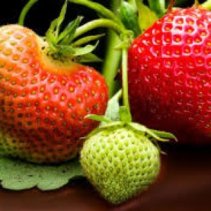 CẦN GẤP CÔ GIÚP VIỆC NHÀ THEO GIỜ LH 0966529171 nhận việc ngay