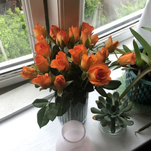 Chiều Nay Em Cần Chị Giúp Việc Nhà Cho Hai Vợ Chồng Và Hai Cháu Lớn Được 9 Và 11 Tuổi Ở Đường Võ Văn Kiệt Quận 8