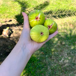 CẦN GẤP 1 CÔ GIÚP VIỆC NHÀ Ở NGAY ĐƯỜNG NGUYỄN THÁI SƠN- GÒ VẤP