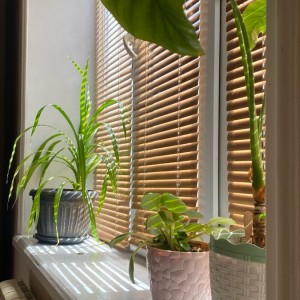 Tuyển cô giúp việc nhà làm ăn ở lại cho gia đình em tại quận 11