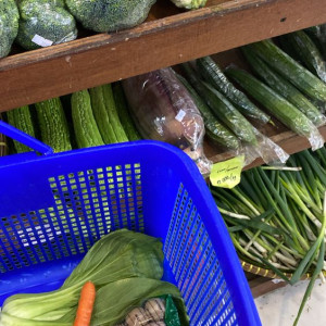 Gia Chủ Đang Cần Gấp Chị Giúp Việc Ở Đường Trần Phú Quận 5