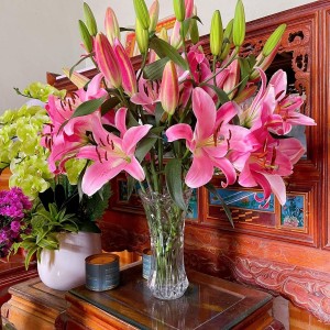Nhà 2 lầu ở đường Tên Lửa Bình Tân Đang Cần Tuyển Ngay 1 Chị Đến Dọn Dẹp Nhà Cửa