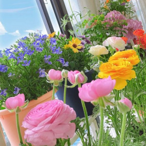 Tuyển Một Cô Về Làm Việc Nội Trợ Cho Gia Đình Có 4 Người