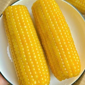 Tuyển cô chuyên chăm bà ạ