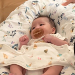 Tìm  1 Cô Bảo Mẫu Về Chăm Nôm Con Em Được 2 Tháng ( Bao Ăn Ở )