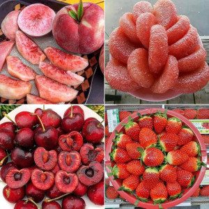 Tuyển Ngay Cô Giúp Việc Nhà Lương Cao Tại Sài Gòn, Mức Lương Từ 10 Triệu Trở Lên