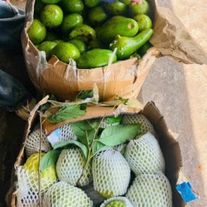 Gia đình em cần người chăm bé ạ
