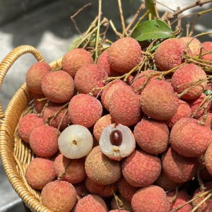 Chính chủ tuyển gấp ạ