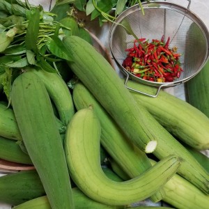 Với mức lương từ 13 triệu có bao ăn ở lại em cần ngay 1 chị đến dọn dẹp giúp em 1 tay nha