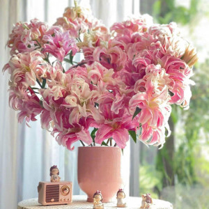 Gia đình mình cần tìm gấp chị giúp việc nhà, cơm nước trong gia đình - Q. Gò vấp, lương 12tr