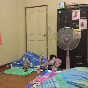 Em tìm gấp một cô về phụ việc nhà + nấu ăn cho gia đình với mức lương 11triêu