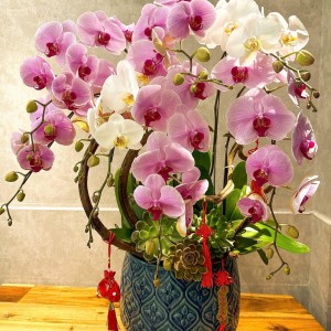 Cô nào thực sự cần việc làm alo e nha