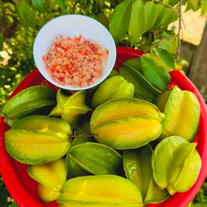 Trong Hôm Nay Em Tìm Chị Giúp Việc Nhà Có Ăn Ở Lại Luôn Trên Đường Lữ Gia Quận 11