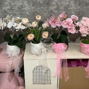 Tuyển gấp cô giúp việc đi làm bao ăn ở lại ạ