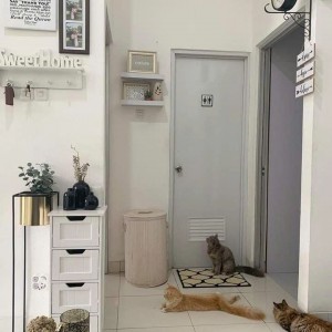 CẦN GẤP 1 CÔ ÍT GIA ĐÌNH VỀ LÀM VIỆC NHÀ CHO GIA ĐÌNH EM Ở TRÊN ĐƯỜNG TÊN LỬA QUẬN BÌNH TÂN LƯƠNG KHỞI ĐIỂM 13 TRIỆU Ạ