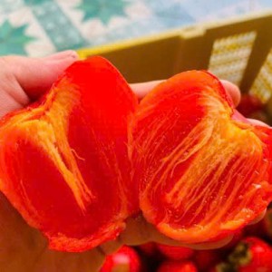 Tuyển Gấp 1 Cô Phụ Bánh Chưng Đi Làm Về