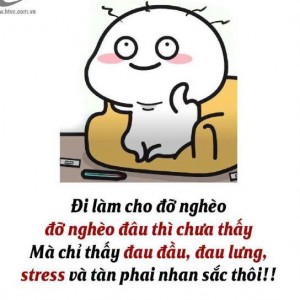 Em cần gấp ạ
