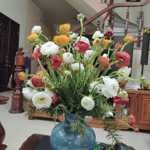 Còn Vài Ngày Nữa Là Đến Tết Rồi Có Chị Nào Đi Làm Được Không Ạ !!