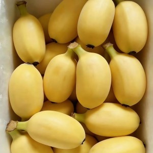 📣 CẦN GẤP CÔ GIÚP VIỆC NHÀ Ở LẠI LH 0966529171