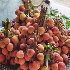 Vẫn chưa có người e tiếp tục tuyển ạ