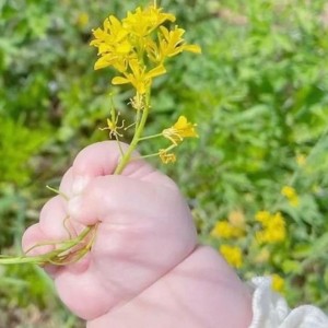 Vợ Chồng Em Rất Mong Tìm Được Chị Về Chăm Sóc Bé 10 Tháng Tại Bình Thạnh
