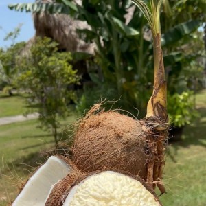 Gia đình thường xuyên phải bận rộn nên em tìm ngay một cô về làm nội trợ