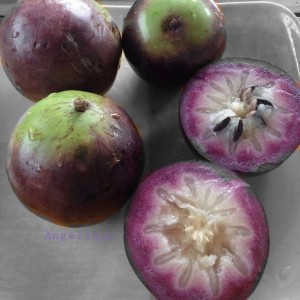 📢 CẦN GẤP CÔ CHĂM BÉ LH 0966529171