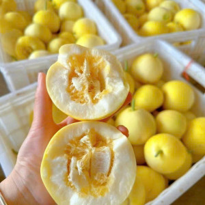 Tuyển gấp 1 cô nội trợ cho gđ em ạ