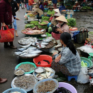 Nhà chung cư quận Tân bình cần tìm gấp 1 chị giúp việc đi làm BAO ĂN Ở LẠI