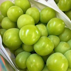 Gia Đình Em Đang Cần Gấp Ạ