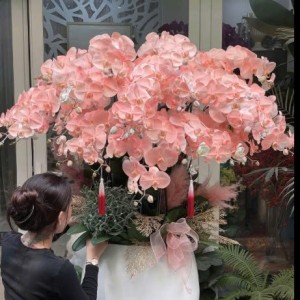 Chính chủ em cần gấp ạ