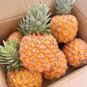 Cần 1 nữ giúp việc ở lại ạ