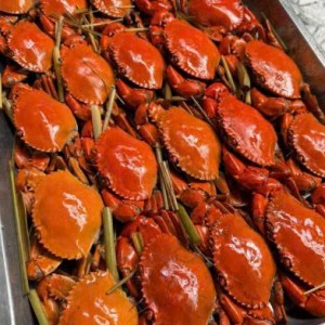 Cần người nấu ăn ngon và có tâm ạ