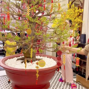 CẦN GẤP CÔ VỀ LÀM VIỆC NHÀ TẠI QUẬN PHÚ NHUẬN